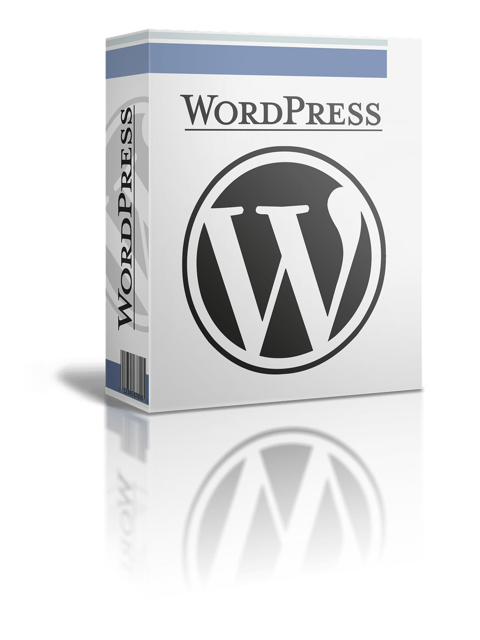 diseño web valencia